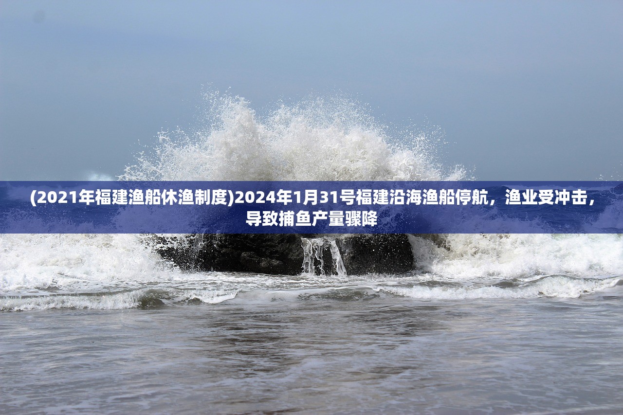 (2021年福建渔船休渔制度)2024年1月31号福建沿海渔船停航，渔业受冲击，导致捕鱼产量骤降