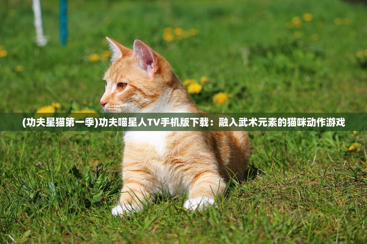 (功夫星猫第一季)功夫喵星人TV手机版下载：融入武术元素的猫咪动作游戏