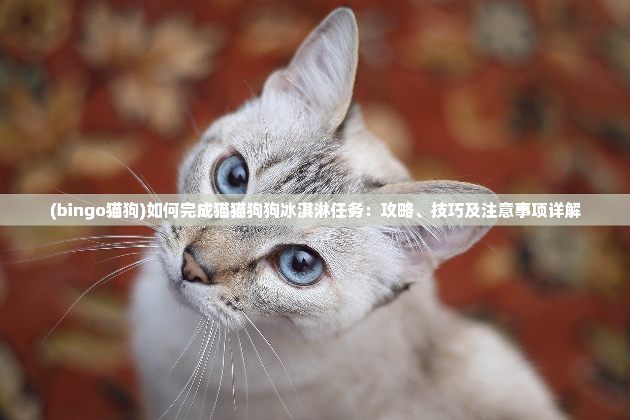 (bingo猫狗)如何完成猫猫狗狗冰淇淋任务：攻略、技巧及注意事项详解