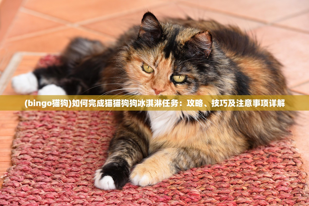 (bingo猫狗)如何完成猫猫狗狗冰淇淋任务：攻略、技巧及注意事项详解